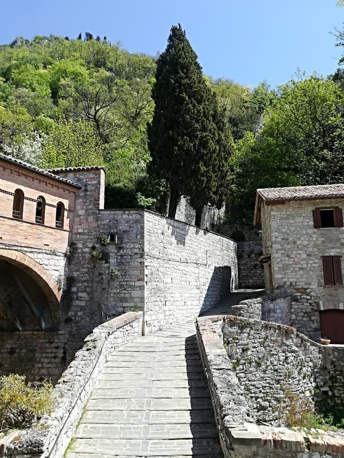 Civico 10 Hotel Gubbio Eksteriør billede